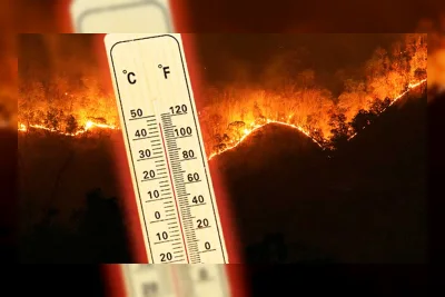 Kebakaran Bromo Capai 520 Hektare, Tim Gabungan Berjibaku Padamkan Api