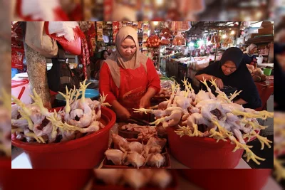 BPS: Harga Daging Ayam Naik di 188 Wilayah