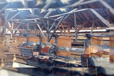 Kandang Kambing Terbakar di Pandeglang, 100 Ekor Mati dan Kerugian Capai Rp350 Juta