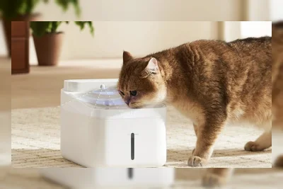 Xiaomi Rilis Fountain Air Minum Kucing dengan Sterilisasi UV-C dan Filter Empat Tahap