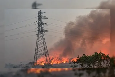 Artis Indonesia Kompak Suarakan Keprihatinan soal Karhutla Kalimantan