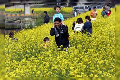 Seoul Buka Kelas Sirkus Gratis Akhir Pekan untuk Keluarga