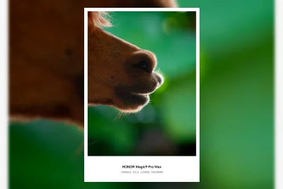 Contoh Foto Honor Magic 9 Pro Max Ungkap Kamera Periskop dan Konverter Tele