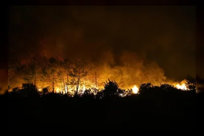 Kebakaran Hutan di Antalya, Turki: Satu Tewas Akibat Serangan Jantung