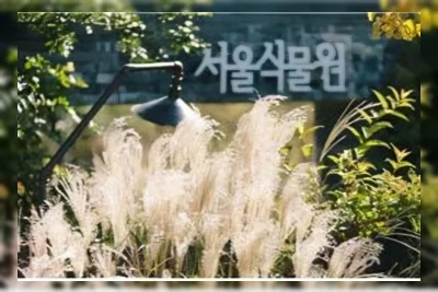 Seoul Botanic Park Ubah Taman Musim Gugur Jadi Lokasi Foto Pernikahan