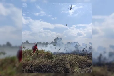 Urban Farming Jambi Pakai Pipa Agrobiopori di Pekarangan