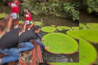 Foto Instagram Picu Penemuan Victoria colombiana di Kolombia