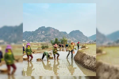 Kementan Ajak 14 Kabupaten Teruskan Proyek UPLAND hingga 2029