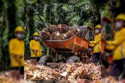 Laba Astra Agro Lestari Melonjak 78,01% jadi Rp 1,9 Triliun