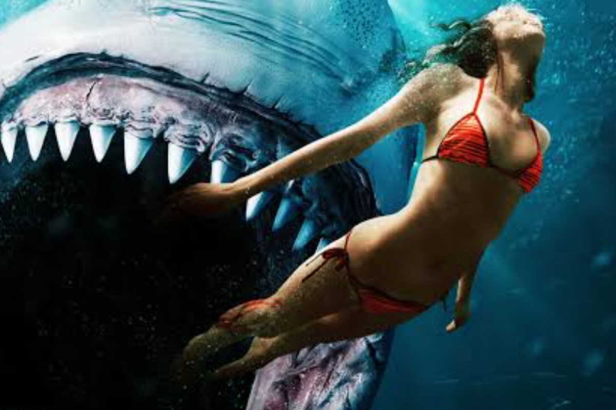 Jadwal Program Televisi Jumat, 16 Mei 2025 Ada Film Bioskop The Dive dan Shark Bait di Metro TV, SCTV, TVONE, NET TV, Indosiar, TRANS 7, TRANS TV dan RCTI serta Link Nonton