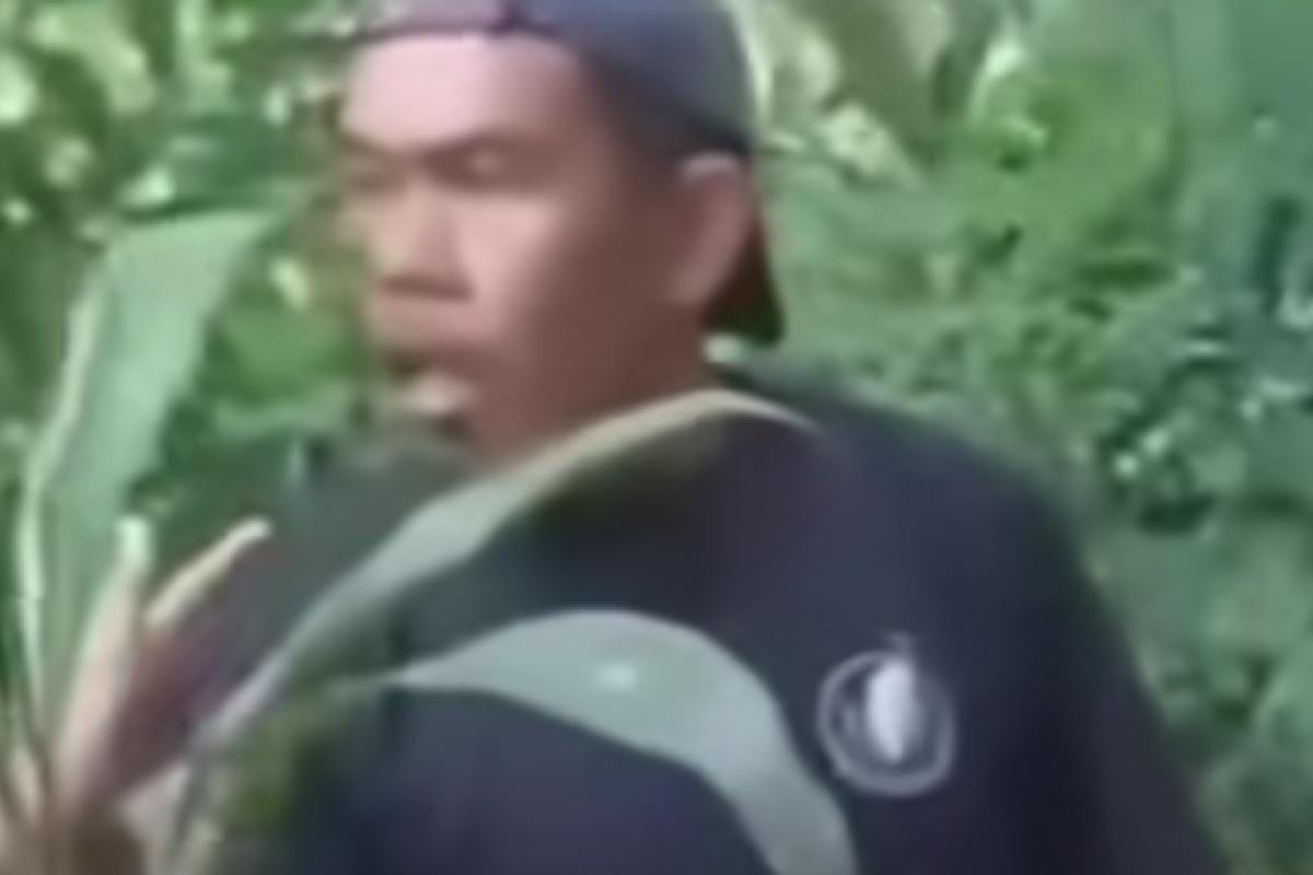 Siapa Anak dan Istri Abdul Kohar? Pelaku Penganiayaan Nenek 76 Tahun di Cianjur, Benarkah Bukan Orang Sembarangan?