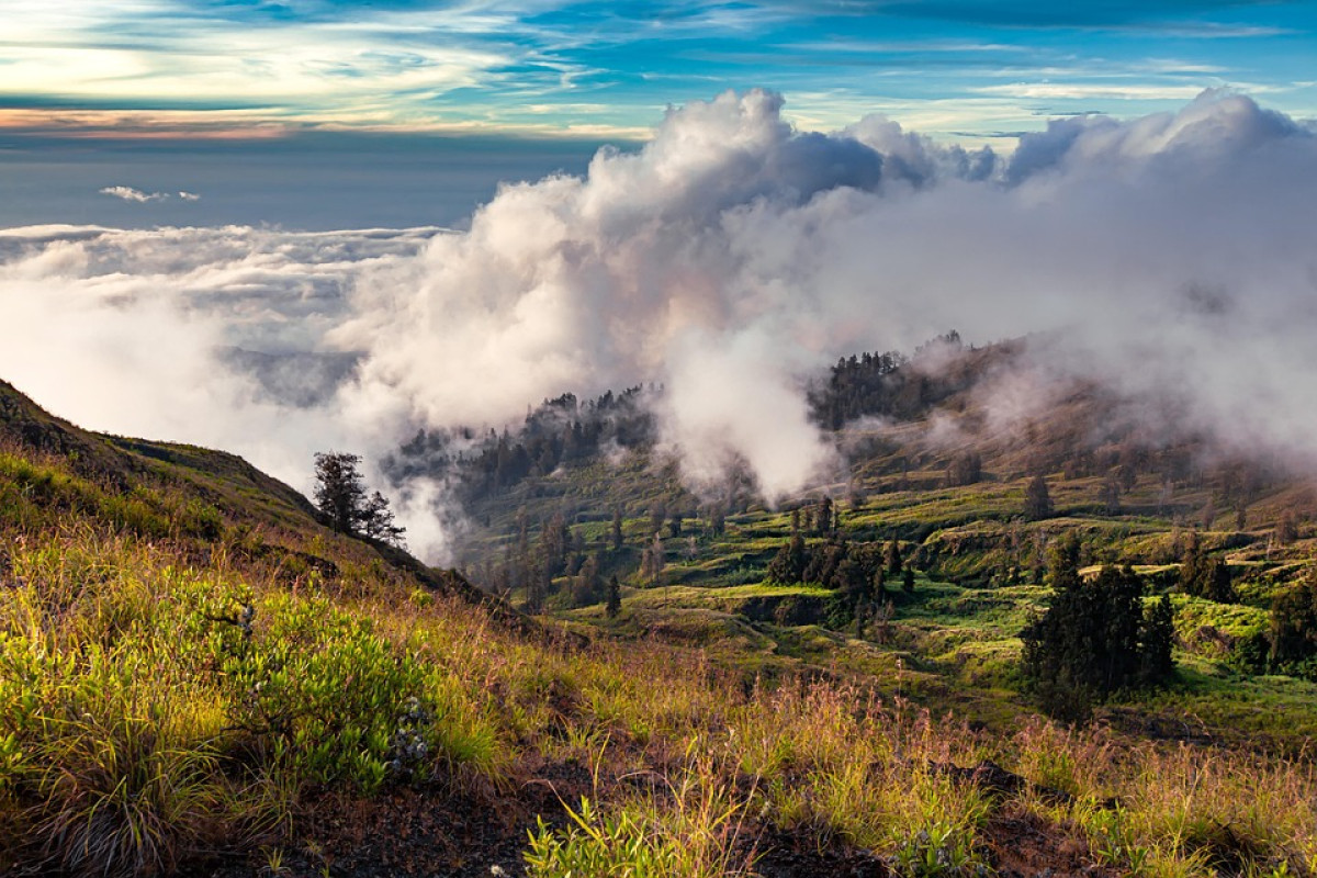 Siapa Pendaki Wanita Alami Pelecehan dan Pemerasan di Gunung Sumbing? Begini Kronologi dan Identitas Lengkapnya