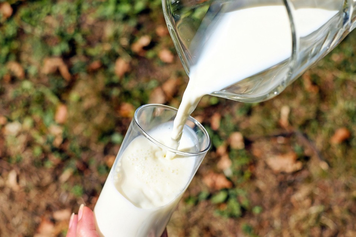 Apa Perbedaan Susu Dancow Asli dengan Susu Dancow Palsu Oplosan Barang Reject dari Pabrik? TikToker Ko Steve Bagikan 3 Cara Jitu Agar Konsumen Tidak Tertipu!
