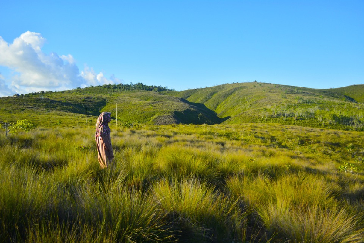 12 Kabupaten Siap di Mekarkan untuk Membentuk Tiga Provinsi Baru di Wilayah Sulawesi Selatan dengan Alasan...
