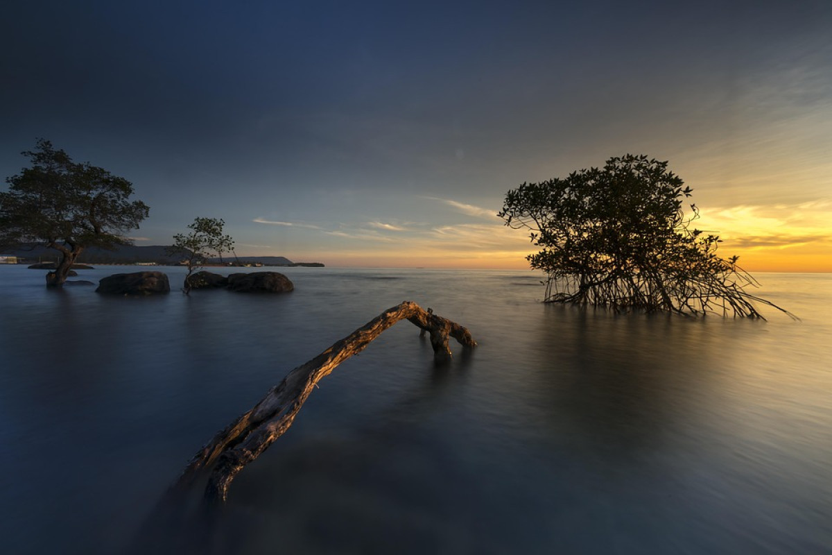 Pulau Pari Terancam! Ribuan Mangrove Rusak Akibat Pengerukan Pasir, Para Nelayan dan Warga langsung Turun ke Lokasi Pengerukan