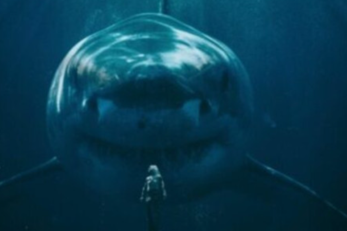 Jadwal Program Televisi Jumat, 26 Desember 2025 Ada Film Bioskop King Kong (2005) dan Black Demon di ANTV, GTV, Indosiar, MDTV, Metro TV, MNCTV, RCTI, SCTV, Trans 7, Trans TV dan TVONE 