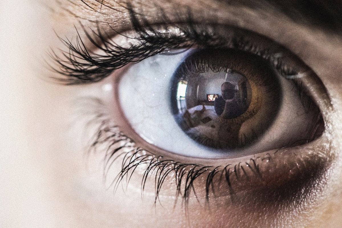 Apa Itu World App? Benarkah Tawarkan Uang Rp800 Ribu untuk Scan Retina Mata?