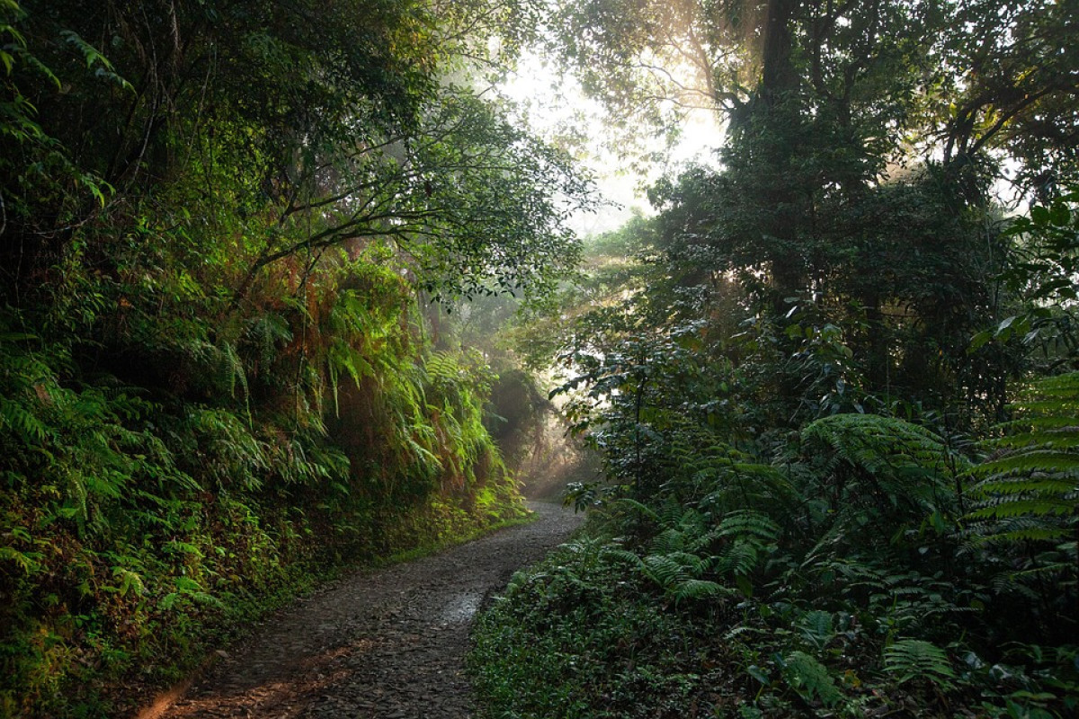 Bojongpicung Bukan Juaranya! Inilah Daerah-Daerah Paling Jauh yang ada di Kabupaten Cianjur dengan Jarak 150,0 km dari Ibukota