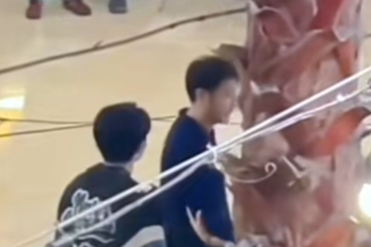 Video Dimas Anggara Diduga Aniaya dan Gampar Kiesha Alvaro 4 Menit 28 Detik di Videy No Sensor Hingga Berujung Minta Maaf