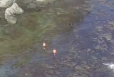 Kronologi Hilangnya Wisatawan Jakarta Timur di Pantai Siung: Azka Nur Fadhilah Raib Saat Camping, Terkini...