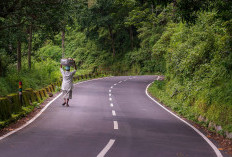 Sayang Banget Dulunya Jadi Wilayah Paling Cantik Kini Mala Berubah jadi Negara Termiskin di Asia Tenggara, Inilah Sejarah Kelam Timor Leste