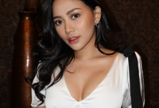 Klarifikasi Bea Cukai Usai Tahan 60 Cushion dari Korea Milik Selebgram Rachel Vennya