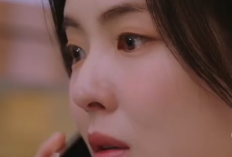 Apakah Drakor The Potato Lab Akan Lanjut Season 2? 