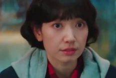 Misteri Konspirasi Terbongkar: Undercover Miss Hong Episode 7-8 Janjikan Ledakan Emosional dan Pengkhianatan Tak Terduga