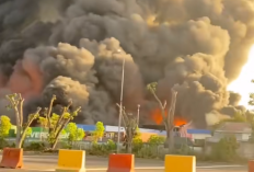 Profil Tampang Pemilik Pabrik PT Agro Raya Mas Medan yang Alami Kebakaran Hebat, Lengkap dari Umur, Agama dan Akun Instagram