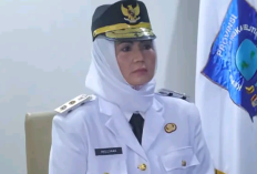Skandal Ijazah Palsu Wakil Gubernur Babel, Hellyana Jadi Sorotan Nasional