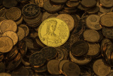 Cair Ratusan Ribu! Inilah 3 Cara Mendapatkan Uang di APK Timo Club