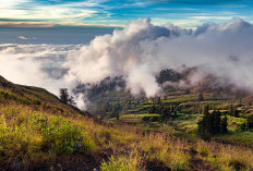 Siapa Pendaki Wanita Alami Pelecehan dan Pemerasan di Gunung Sumbing? Begini Kronologi dan Identitas Lengkapnya