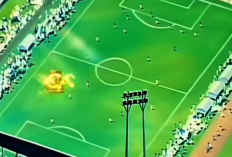 Apa Judul Kartun Animasi yang Diisukan Bakal Dibuat Ryan Adriandhy Sutradara Film Jumbo Setelah Laga Jepang vs Timnas Indonesia?