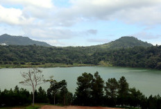 Wacana Pemekaran Sulawesi Selatan: Tiga Provinsi Baru yang Mungkin Terbentuk dengan Menyatukan 12 Kabupaten