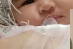 Foto Wajah Celina Azzura Seperti Apa? Anak Lisa Mariana yang Viral Usai Dikaitkan Ridwan Kamil, Ini faktanya