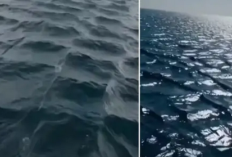  MISTERI Fenomena Gelombang Berbentuk Kotak-Kotak Lautan, Benarkah Pertanda Petaka?