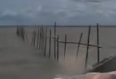 Siapa Pemilik Agung Sedayu Group? Diduga Terlibat dalam Proyek Pagar Laut di Tangerang