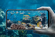 Oppo A6s Resmi Meluncur di Indonesia, Harga Rp5 Jutaan, Bawa Sertifikasi IP69 dan Baterai 7.000 mAh