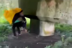 Link Video Mukena Pink Viral Ramadan 2026 Picu Spekulasi, Begini Fakta Rekaman yang Beredar