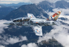 Angkatan Udara Hungaria Segera Sambut L-39 Skyfox: Modernisasi Besar-besaran di Bawah Program Zrinyi 2026