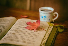 Daftar CPNS 2026 Dipercepat, Pemerintah Minta Pelamar Lengkapi Dokumen Penting