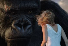 Jadwal Bioskop Trans TV   29 Desember 2025 - 4 Januari 2026