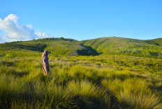 12 Kabupaten Siap di Mekarkan untuk Membentuk Tiga Provinsi Baru di Wilayah Sulawesi Selatan dengan Alasan...