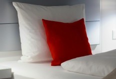 Hukum Berzina dengan Bantal Guling Lengkap dengan Dalilnya Serta Penjelasan Termasuk Onani dalam Islam