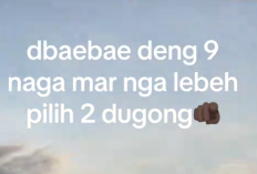 Mengenal 9 Naga Sulut, Asal Usul Julukan Keluarga Joel Alberto Tanos dan Jejak Besar PT Marga Dwitaguna di Tanah Minahasa