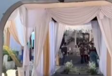 Siapa Owner Nafa Wedding? Diduga Pelaku Kasus Penipuan Dekorasi Pernikahan yang Viral di TikTok