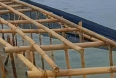 3 Fakta Pagar Laut PIK 2 yang Viral lengkap dengan Fungsi dan Sertifikat Data Pemilik HGB