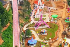 Profil Tampang  Hendra Guntara Komisaris Utama PT Jaswita Lestari Jaya Pemilik Hibisc Fantasy Puncak Bogor Kini Viral Usai Disegal Diduga Jadi Penyebab Banjir