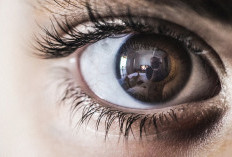 Apa Itu World App? Benarkah Tawarkan Uang Rp800 Ribu untuk Scan Retina Mata?