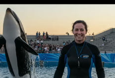 Klarifikasi Jessica Radcliffe Pelatih Orca yang Dikabarkan Meninggal Dunia Akibat Dimakan Paus, Benarkah Hoax dan AI?
